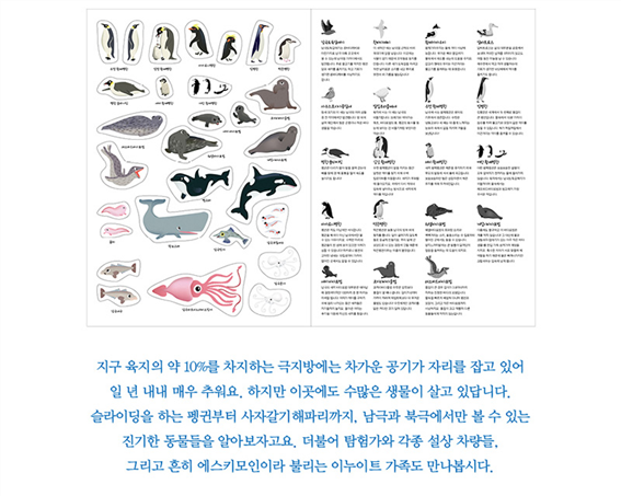 그림입니다. 원본 그림의 이름: k_02.webp 원본 그림의 크기: 가로 800pixel, 세로 639pixel